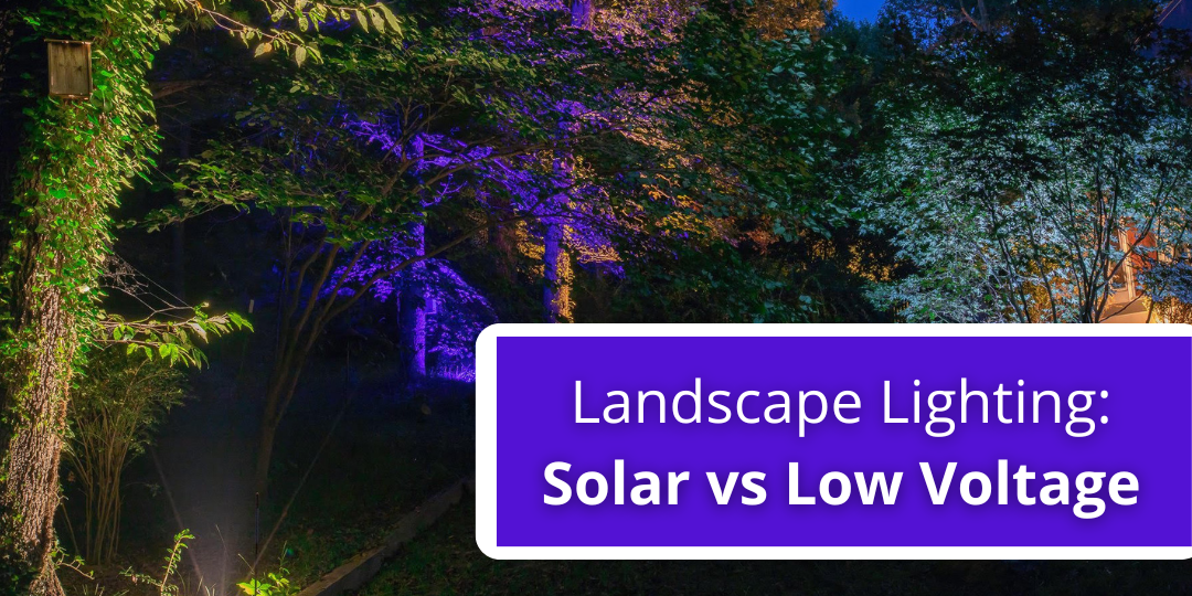 landscape lighting solar vs low voltage